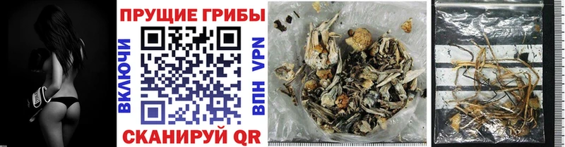 мориарти Telegram  Сатка  Галлюциногенные грибы Cubensis 